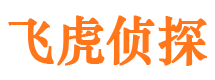 河北市婚姻出轨调查